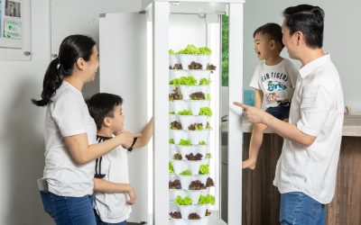 Cultivating Family Connections