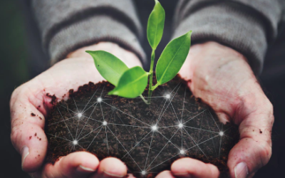 Unlocking the Secrets of Healthy Soil