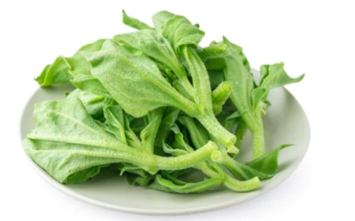 How to Grow Ice Plant Vertically in VGROW TOWER?