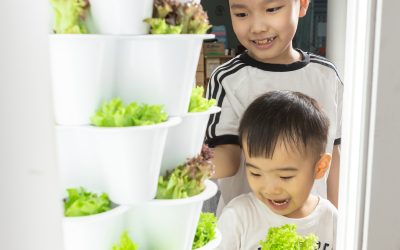 What is VGROW and How Does it Work?