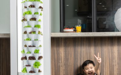 Why Vertical Farming at Home is a Must-Have for Every Family