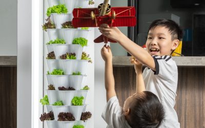 Embracing Mindfulness in the Vertical Garden