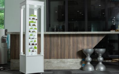 VGROW INDOOR TOWER: The Unfair Advantage in Sustainable Vertical Farming
