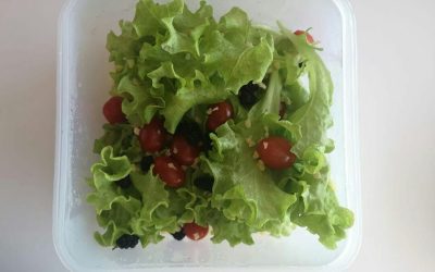 Harnessing the Healing Power of Nature