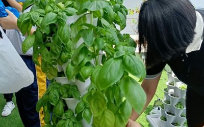 Embracing Sustainability