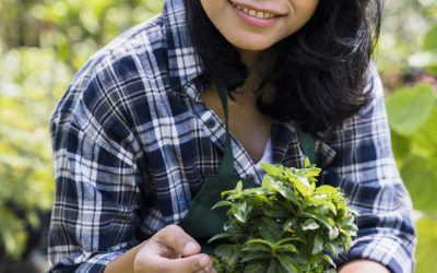 Wendy’s Eco-Friendly Journey with VGROW