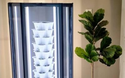 The Wise Choice for Success