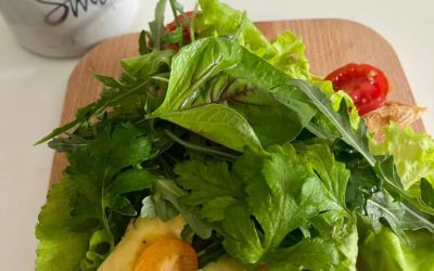 How Vertical Gardening Can Save the Planet