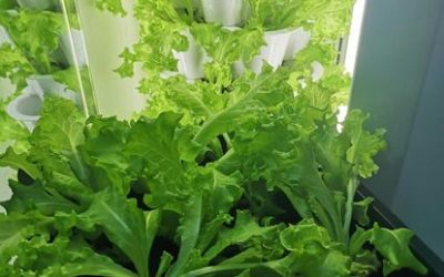 The Tech of Tomorrow