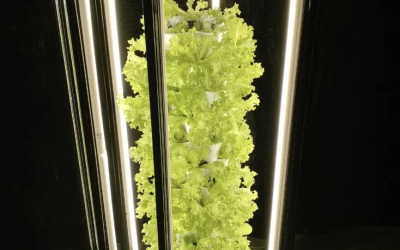 VGROW A Gardener’s Confidence Boost