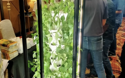 Urban Gardening Solutions Maximizing Space with VGROW