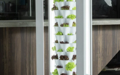 Desire for vertical gardening solutions