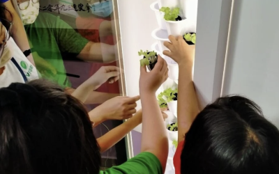 Empowering Sustainability Health and Well-being