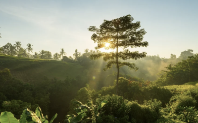 VGROW Concerns about the environmental