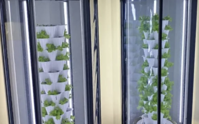 Comparing VGROW The Ultimate Vertical Gardening Solution