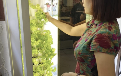 Fear of failing to maintain and care for plants