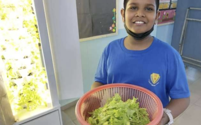 Uncertainty about whether VGROW can effectively grow