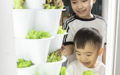 How much space does VGROW require in my home