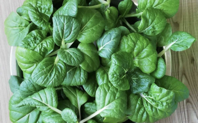 What types of plants can I grow with VGROW