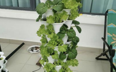 What sets VGROW apart from other vertical gardening solutions
