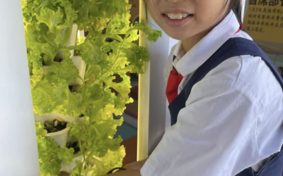 Elevate Your Home Living with Vertical Gardening