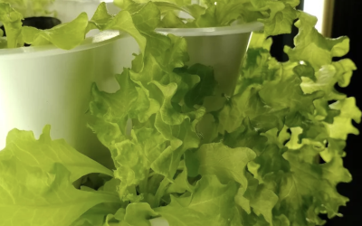 Where Can I Learn More About VGROW and Its Features