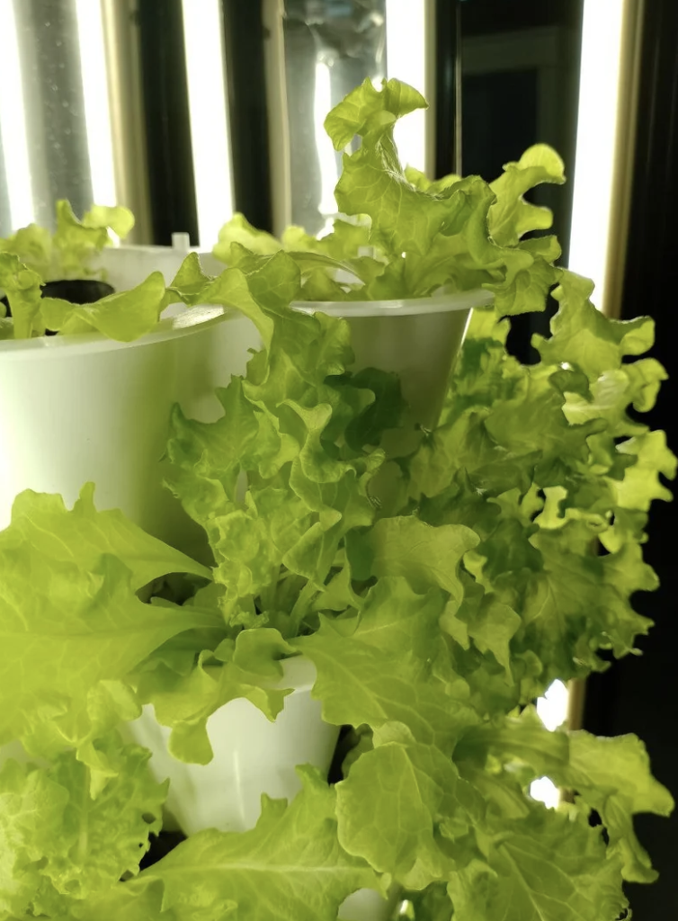 Where Can I Learn More About VGROW and Its Features VFRM