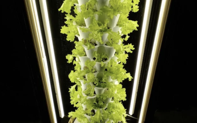 What is VGROW and How Does It Work?