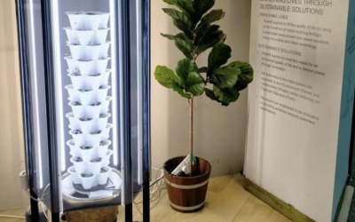 Transforming Spaces with VGROW Vertical Gardening