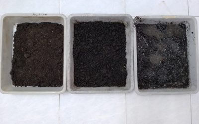 Understanding the Importance of Soil Moisture