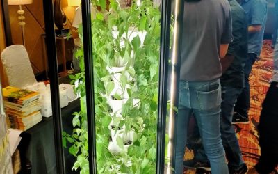 Main Reason You’re Interested in Vertical Gardening with VGROW
