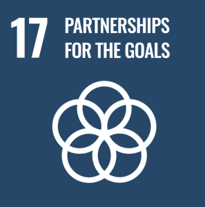 VGROW SDG 17