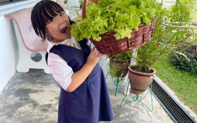 Beyond the Salad Bowl