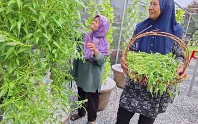 Small Space Big Impact