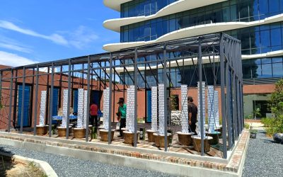 Why Malaysian Restaurants Are Choosing VF@RM