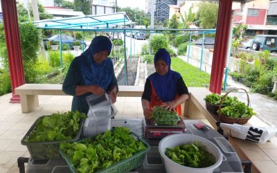 Solving Food Security